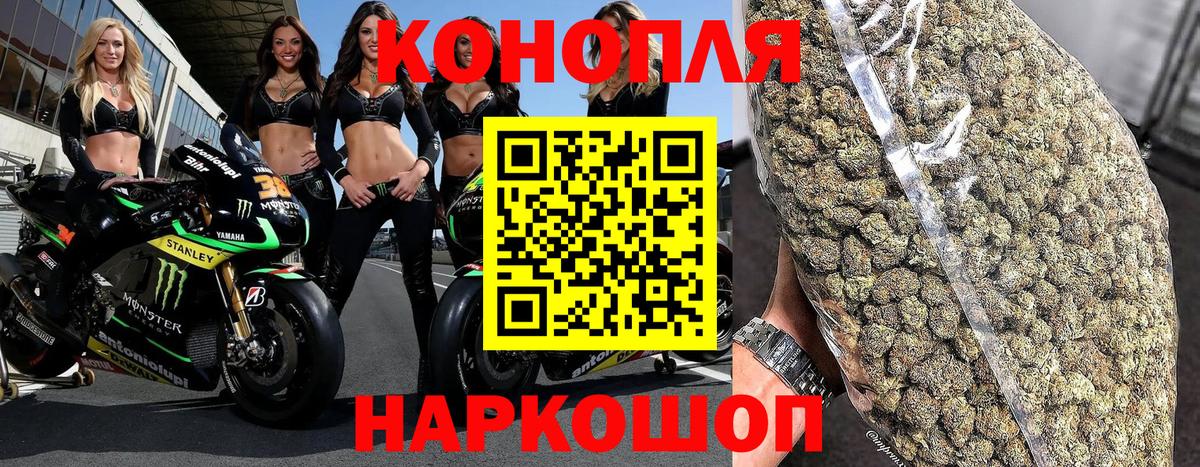 Канабис OG Kush Россошь